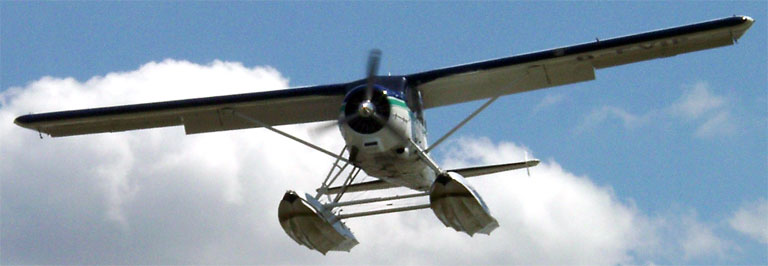 Aircraft registered D-FVIP