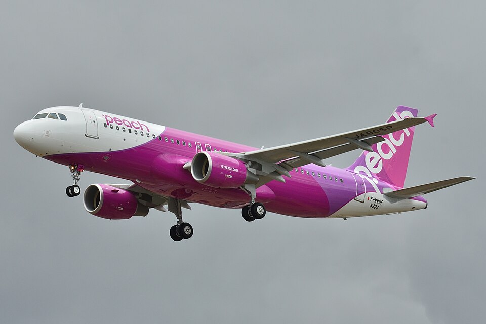 Aircraft registered JA805P