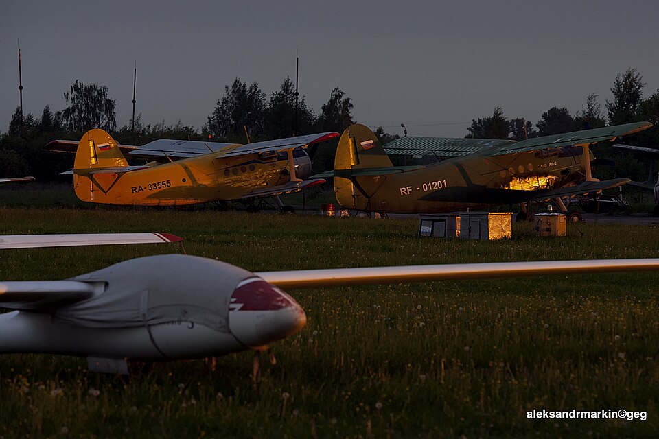 Aircraft registered RA-33555