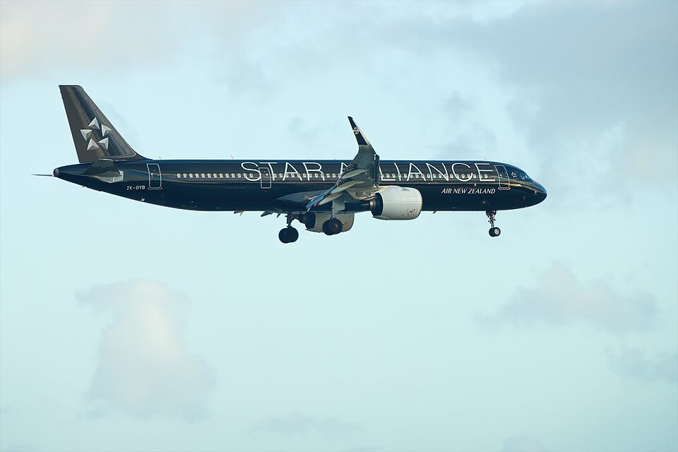 Star Alliance livery